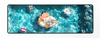 Shinchan Edition